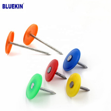 1-Inch Galvanized Round-Top Plastic Cap Roofing  Nails